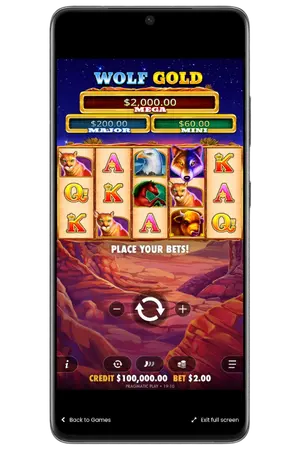 Gameplay in het spel Wolf Gold
