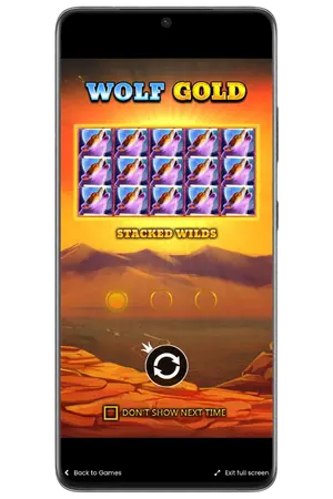 Welkomstvenster in het spel Wolf Gold